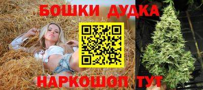 спиды Заволжье