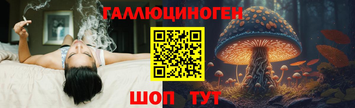 Псилоцибиновые грибы мухоморы  Вход с VPN  Малоярославец  Псилоцибиновые грибы Psilocybe 